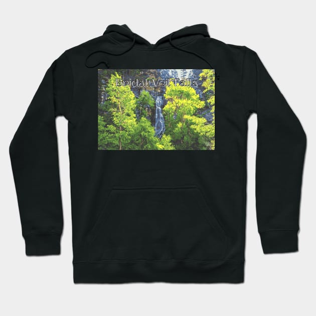 Bridal Veil Falls in Spearfish Canyon Hoodie by Gestalt Imagery